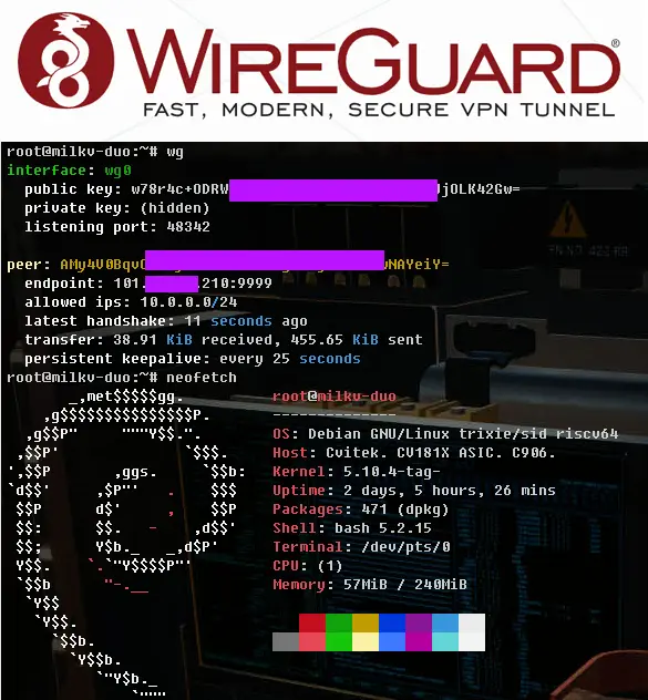 WireGuard_Duo256M